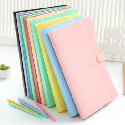 China Durable Colors PVC Multifunctional Folders A4 Size Expandable Office Stationery File Rack for sale