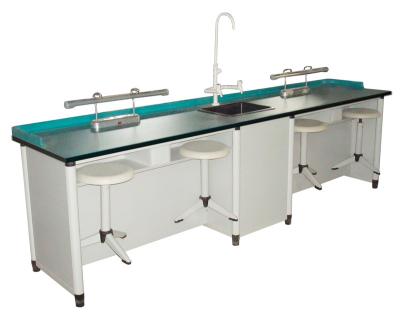 China PANEL Biological Integrated Lab Furniture / Professional Customized School Furniture for sale