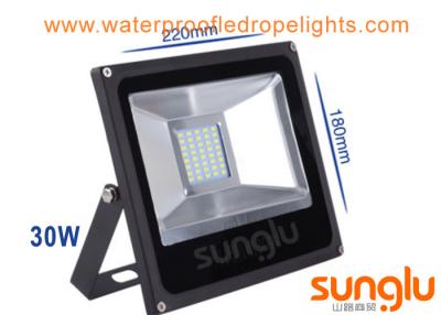 China 30W LED Landscape Flood Lights , Waterproof LED Flood Lights With Aluminum Housing for sale