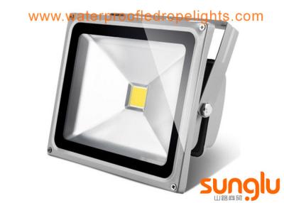 China Warm White Outdoor LED Flood Lights 30 Watt Waterproof AC110 - 220V For Tunnel for sale