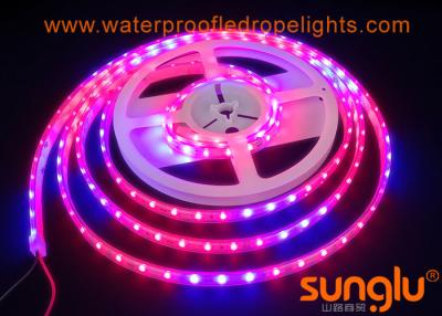 China Flexible 7 Red 3 Blue LED Flower Strip Lights / 3528 60D LED Vegetable Lighting for sale