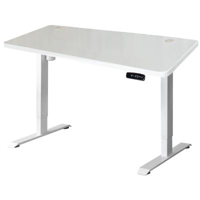 China (Height) Adjustable Electric Stand Up Desk Height Adjustabl Home Office Computer Standing With Table Top 1200*600*18mm for sale