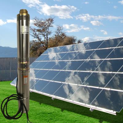 China Whaleflo Farmland Irrigation Solar Pump 180W 5ton/Hour Solar DC Irrigation Water Pump Sand Resistant for sale