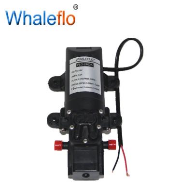 China Whaleflo 3.8LPM 35PSI 24V small self-priming 1.2M suction diaphragm water pump for sale