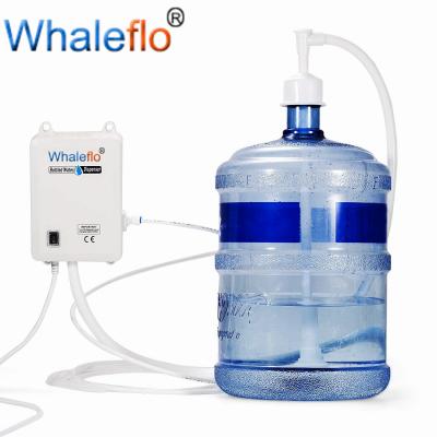 China Whaleflo BW series flojet BW1000a water price turkey made dispenser pump manufacturer for sale