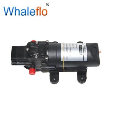 China Whaleflo 24 V DC  80PSI 4.0LPM Fresh Water Pump With High Pressure  For Agriculture for sale