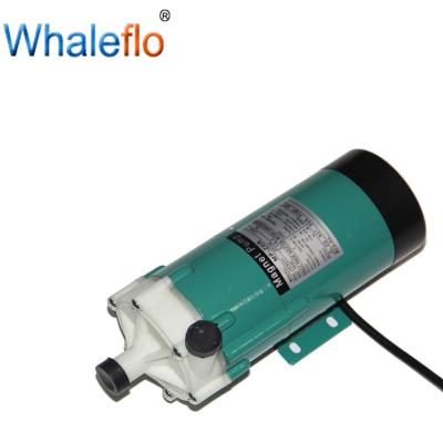 China Whaleflo 110/230V AC Stainless Steel Portable Food Grade Small Self Priming Magnetic Drive Pump For Beer for sale