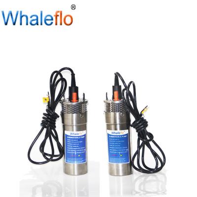 China Whaleflo  720LPH Deep Well DC 12V Lift 100M Energy Systems Irrigation Mini Solar Submersible Pump for sale