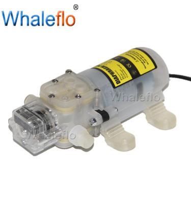 China Whaleflo 12V DC Food Grade Self-Priming 3.8GPM Wine Beer Transfer Pump US Plug UK Plug for sale