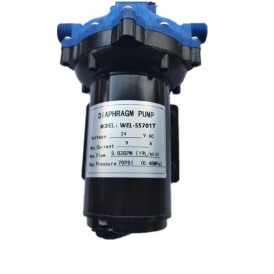 China Whaleflo 5.5GPM 60PSI 12V DC Deck Washdown Pump For Boat Marine Fresh Water Pump for sale