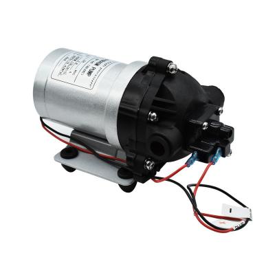 China Whaleflo 24V DC Brushless 5Lpm Self Priming Diaphragm Water Pump For RV Water Supply Soutions for sale