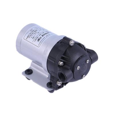 China Whaleflo 12V 24V DC 60PSI 5LPM Brushless Self-Priming Diaphragm Water Pump For Caravan Boat RV Camper for sale