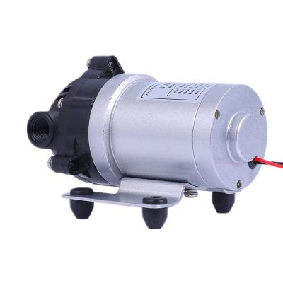 China Whaleflo 24V DC 60PSI 5LPM Brushless Self-Priming Household water supply Diaphragm Water Pump for sale