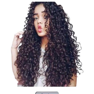 China Body Wave Hot Selling Curly Hair Wig Ladies Afro Fluffy Chemical Fiber Matte High Temperature Silk Curly Hair for sale