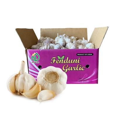 China Fresh professional regular white garlic factory price per ton, new season, cheap price for sale