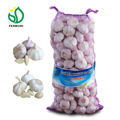 China Garlic fresh box 10kg Shandong fresh crop of new for Senegal/Cote D Ivoir /Guinea/ Mali 50mm, ship by sea, with cheap price for sale