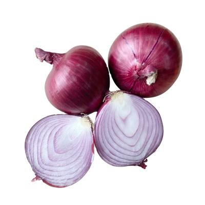 China 2022 new china fresh hot sales 40ft container fresh red onion wholesale price for sale