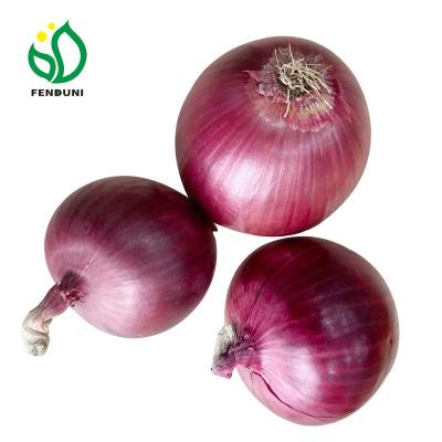 China Cheap price 5-7/6-8/8-10cm China new onion cultivation (red onon and yellow onion) package 20kg/25kg wholesale fresh natural fresh mesh bag for sale