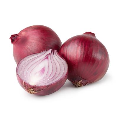 China Fresh Fresh Red Onion 10kg/20kg/25kg Bag for sale