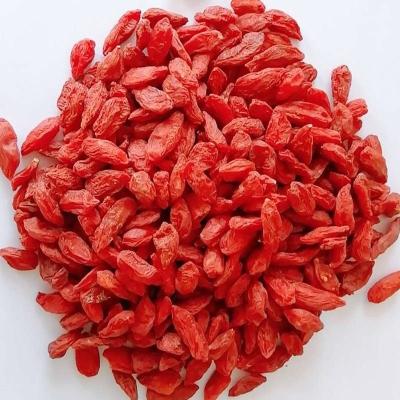 China China Dry / Chinese Delicious Red Medlar Wolfberry Goji Slim Tea for sale