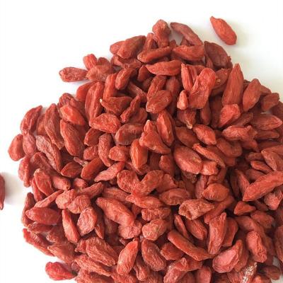 China Goji Berry Wolf Berry Dry Natural Dried Berry with Ningxia China New Cultivation for sale