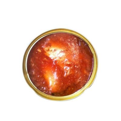 China Canned canned mackerel in tomato sauce for sale