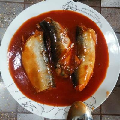 China Canned peaches mackerel canned fish in tomato sauce for sale