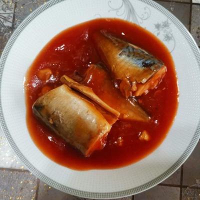 China High quality canned fish canned mackerel in tomato sauce for sale