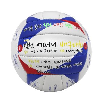 China Durable Manufacture High Quality Machine Stitched Mini Size 2 Volleyball Custrimised Logo For Kids Children for sale