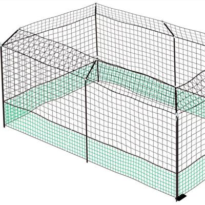 China Aminal Feed Chicken Poultry Protective Fence Manufacture / Portable Chicken Fence for sale