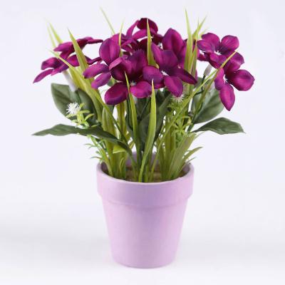 China Personalize Plastic Beauty 22Cm Home Decoration Fake Flowers From Plastic Decoration Manufacturer for sale