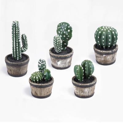 China Custom Different Plastic Home Decoration White Mothers Day Succulent in Polyresin for sale