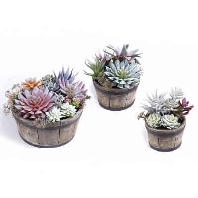 China Factory Wholesale Home Decoration Fasion Plastic Green Red To Polyresin Farm Succulent Plants for sale