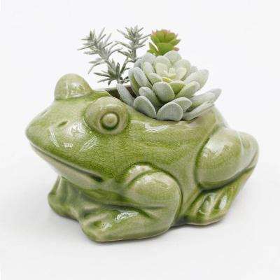 China Home Decoration Eco - Friendly Plastic Green Ceramic Desktop Succulent Plants for sale