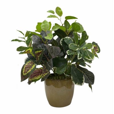 China Home Decoration Factory Wholesale Personalize Various Plastic Natural Craft Party Potted Faux Plant In Ceramic for sale