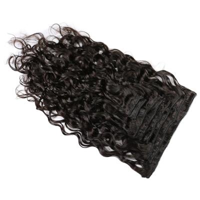 China Silky Straight Wave Clip In Hair Extension 100% Virgin Raw Hair Clip On Hair Extension With Best Price for sale