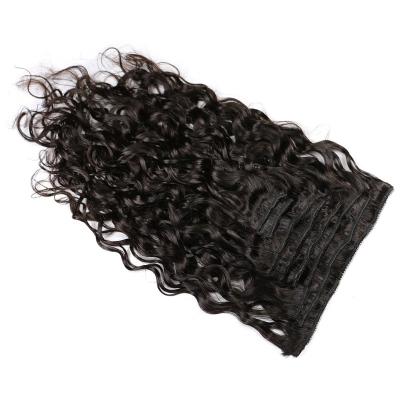 China Silky Straight 100 Brazilian Hair Seamless Clip In Hair Extension Natural Color Curly Hair Extension Clip In for sale