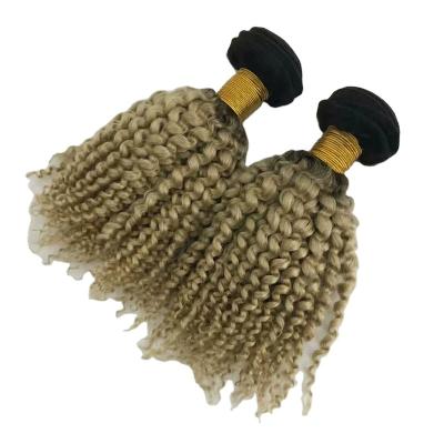 China Natural Raw Cambodian Cuticle Aligned Hair Silky Straight Curly Wave Hair Weft Color Hair for sale