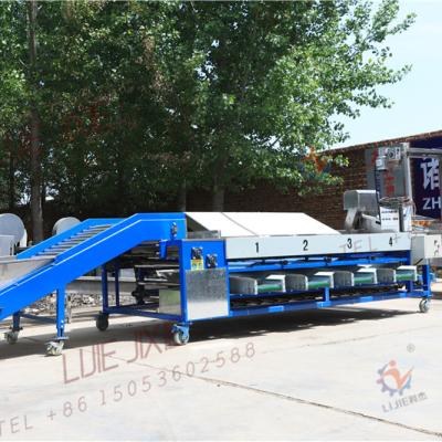 China food & Beverage Factory Lemon Grading Machine Sorter For Four Grades for sale