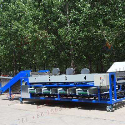 China food & Automatic Beverage Factory Tomato Grading Machine Small For Five Size for sale