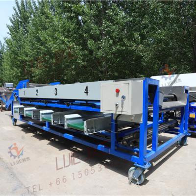 China food & Beverage factory taro grading machine sorter for size four for sale