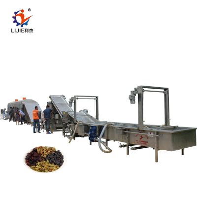 China Fully Automatic Raisin Raisin Washing And Drying Machine Raisin Cleaning Processing Line For Food Handling for sale