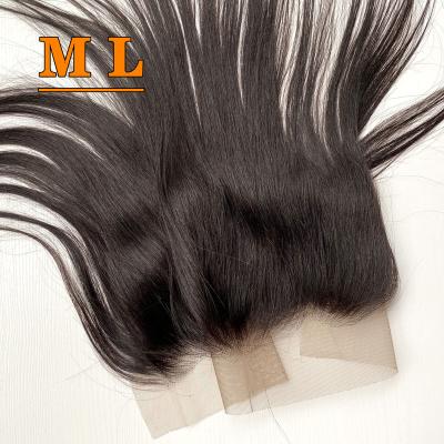 China Straight Virgin Human Hair 12