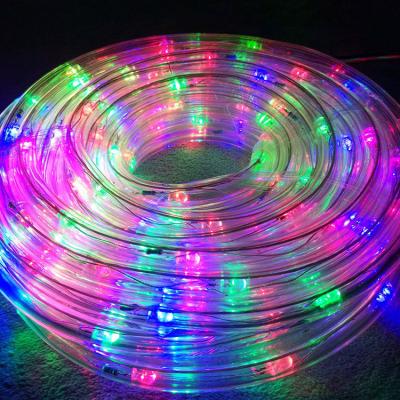 China / Outdoor Waterproof Led Christmas RGB Rope Light For Project And Retail Use for sale