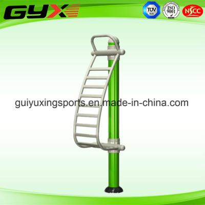 China The Hot Outdoor Body Equipment for Adult/The Back Extension for sale