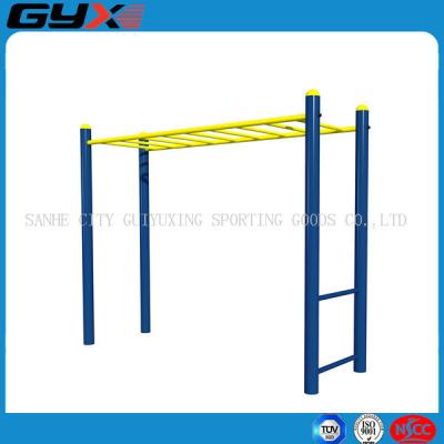 China Outdoor Gym Equipment for Horizontal Ladder for sale