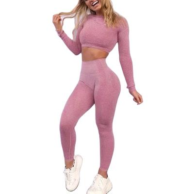 China Breathable Seamless Yoga Suit 2 Pieces Sports Shirts Grow Active Fitness Yoga Set Top Wear Gaiters Apparel for sale