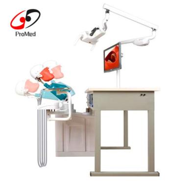 China Dental Simulation Medical Educational Dental Unit Supply Phantom Head Simulator for Dental Student for sale