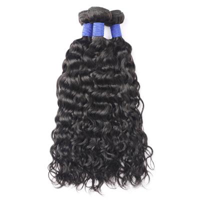 China Brazilian Water Wave Vrigin Hair Extension 9A Water Wave Tape In Remy Hair Extensions for sale