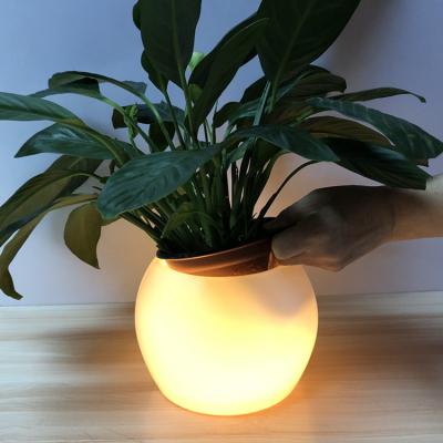 China Modern Multicolor Dimmable Switch LED Flower Vase Yard Garden Light Plastic Luminescent Decoration Can Be Customized for sale